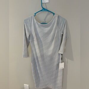 Calvin Klein Elegant Silver Long Sleeve Dress women small nwt